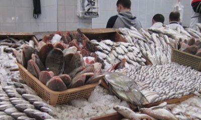 poisson maroc 2014 03 04