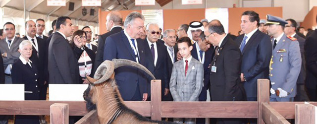 prince hassan SIAM 2015 04 30