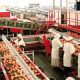 production tomates
