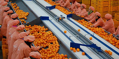 productions oranges