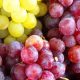 raisin maroc 2014 07 23
