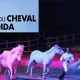 salon cheval