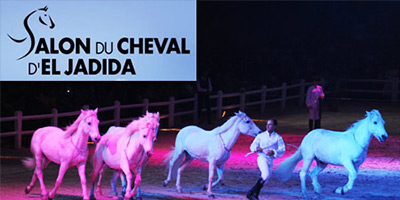 salon cheval