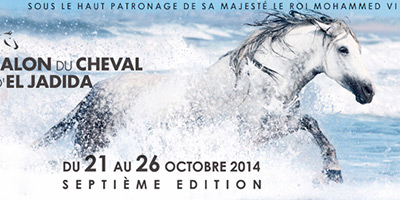 salon du cheval 2014 10 01
