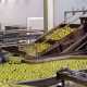 secteur des industries agroalimentaires maroc 2015 04 09