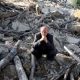 seisme Iran 2012 08 13