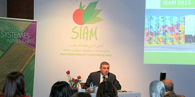 siam maroc