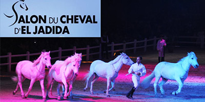 slon cheval el jadida 2015 08 28