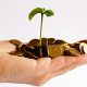 start up financement 2015 06 04