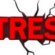 stress 2014 11 14