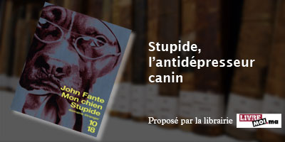 stupide lantidapresseur canin