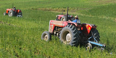tracteur champs 2015 07 09