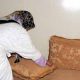 travailleurs a domicile 2014 08 15