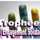 trophaes de lengagement solidaire maroc