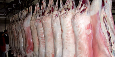 viande rouge maroc 2015 02 20