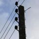 vol cables electriques 2014 07 04