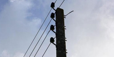 vol cables electriques 2014 07 04