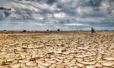 La Banque mondiale changements climatiques en Afrique