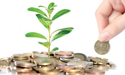 Pour quel placement faut il opter en 2016