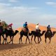 La SMIT mise sur le naturel et le culturel en 2016