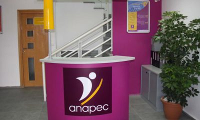 Le nouveau plan de developpement de ANAPEC