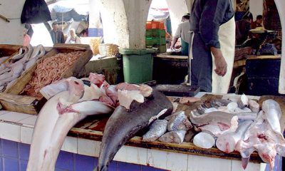 poisson