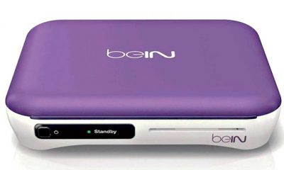 Bein