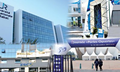 ecole Finances marketing RH