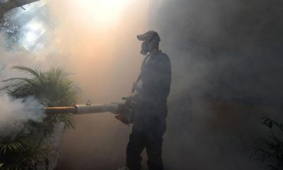 Zika 1