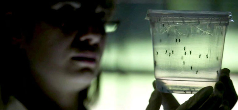 Zika