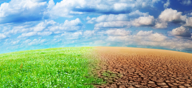 adaptation aux changements climatiques