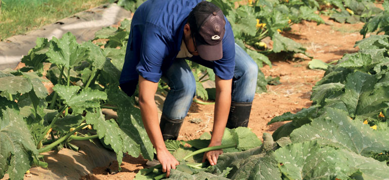 Agriculturer
