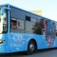 City bus fes