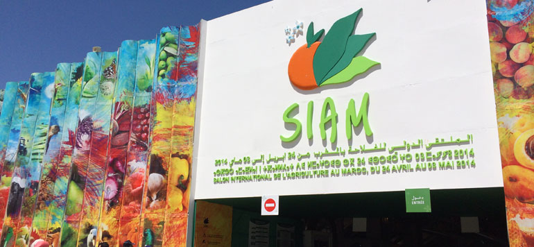 SIAM