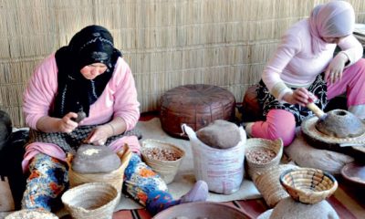 cooperatives