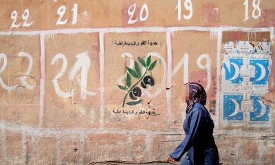 elections