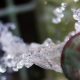 etudes et recherches sur eau