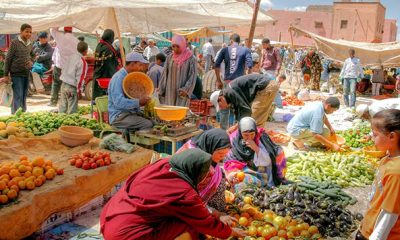 legumes maroc