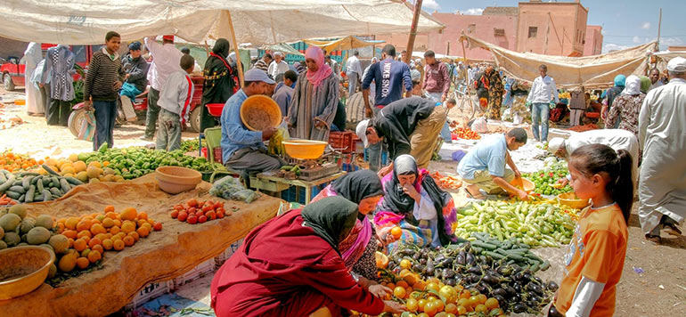 legumes maroc