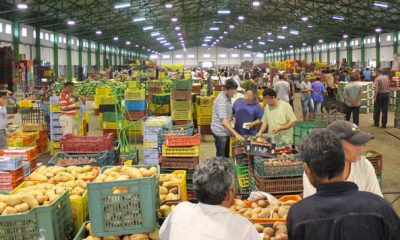 marche de gros de Casablanca