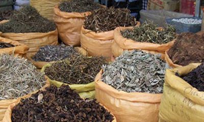 plantes medicinales