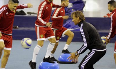 Herve Renard