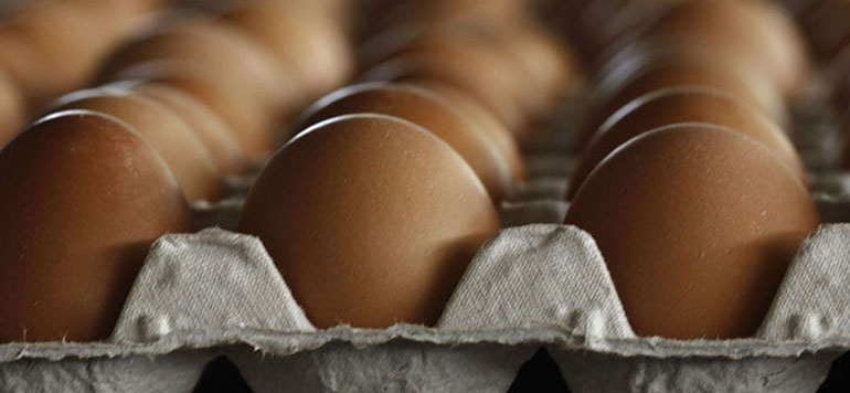 oeufs