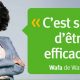 wafa assurance