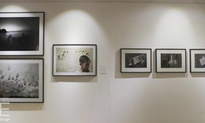 Art de la Tolerance 1