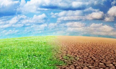 COP22