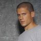 Michael Scofield