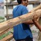 Travail des enfants