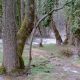 Un Centre pour les forets du Maroc