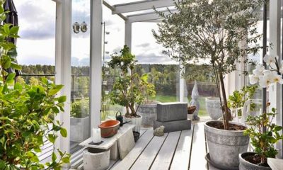 jardin hiver